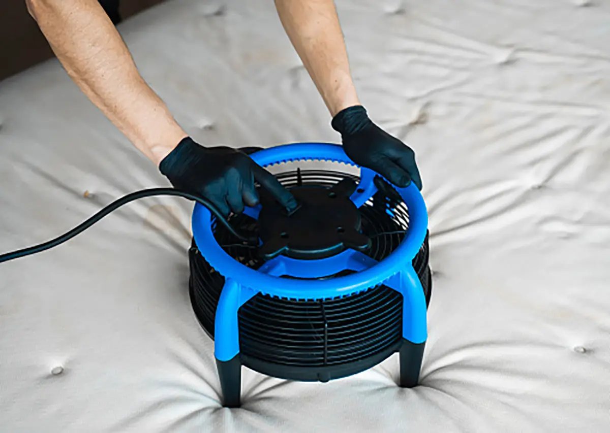 dry mattress after cleaning London